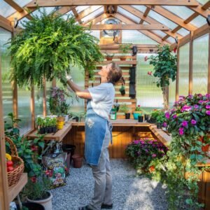 11x7 Bellerose Greenhouse - Image 13