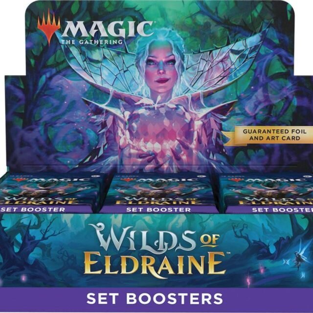 Magic the Gathering Wilds of Eldraine Set Booster 6 box case